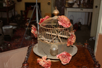 2009_08_03_3162